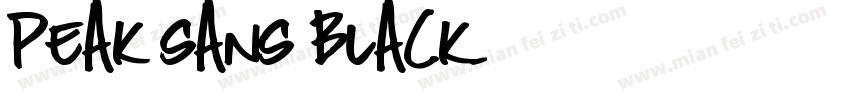 Peak Sans Black字体转换